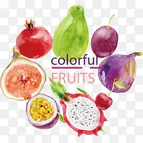 矢量水果-空若网 矢量水果-空若网