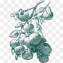 结果卡通风格橘子-空若网 结果卡通风格橘子-空若网