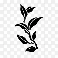 黑白茶叶树枝素材-空若网 黑白茶叶树枝素材-空若网