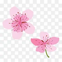 ���컨�䴺��ӣ���һ��ز�-������