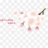 Ó£»¨pngʸÁ¿ÔªËØ-¿ÕÈôÍø Ó£»¨pngʸÁ¿ÔªËØ-¿ÕÈôÍø