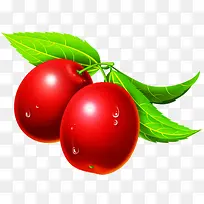 两颗红色果实-空若网 两颗红色果实-空若网