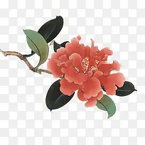 ��ɫɽ����֦-������