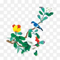 油墨茶花-空若网 油墨茶花-空若网