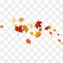 漂浮多彩叶子-空若网 漂浮多彩叶子-空若网