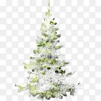 冰雪覆盖的松树-空若网 冰雪覆盖的松树-空若网