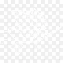 创意白色藤蔓-空若网 创意白色藤蔓-空若网