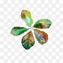 油画叶子-空若网 油画叶子-空若网