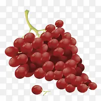 手绘红色葡萄-空若网 手绘红色葡萄-空若网