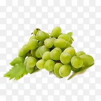 ��ɫ����-������