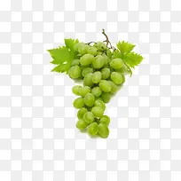 青色葡萄-空若网 青色葡萄-空若网
