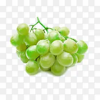 青提-空若网 青提-空若网