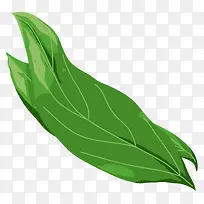 卡通手绘蔬菜装饰海报设计-空若网 卡通手绘蔬菜装饰海报设计-空若网