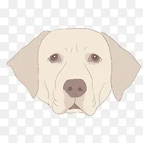 狗头像PNG下载-空若网 狗头像PNG下载-空若网