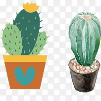 文艺小清新仙人草-空若网 文艺小清新仙人草-空若网