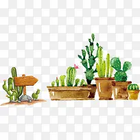 文艺小清新仙人草-空若网 文艺小清新仙人草-空若网