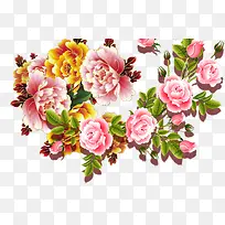 多彩喜庆雍容华贵牡丹花-空若网 多彩喜庆雍容华贵牡丹花-空若网