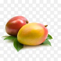 ����ˮ��â��-������