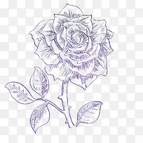 素描玫瑰花设计素材-空若网 素描玫瑰花设计素材-空若网