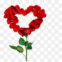 ��������õ�廨��ͼƬ-������