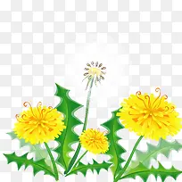 手绘蒲公英矢量素材-空若网 手绘蒲公英矢量素材-空若网