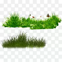 RAR剪贴画-绿色-空若网 RAR剪贴画-绿色-空若网