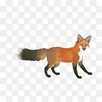 卡通可爱小动物装饰设计动物头像-空若网 卡通可爱小动物装饰设计动物头像-空若网