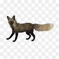 卡通可爱小动物装饰设计动物头像-空若网 卡通可爱小动物装饰设计动物头像-空若网