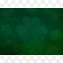 ����ʯ��ˮ��ɫε��-������-������