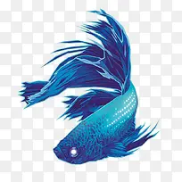 ������ɫ����ͼ��-������