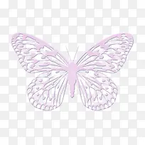 紫色蝴蝶-空若网 紫色蝴蝶-空若网