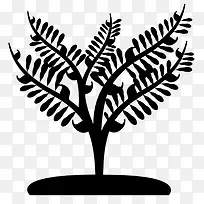 树影-空若网 树影-空若网