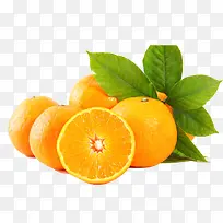 �����˸��� ����28-������