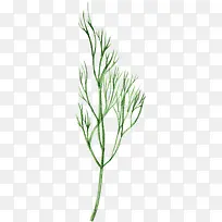 ��ͨ�ֻ��߲�װ�κ�������۲�-������