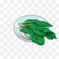 一碟菠菜设计素材-空若网 一碟菠菜设计素材-空若网