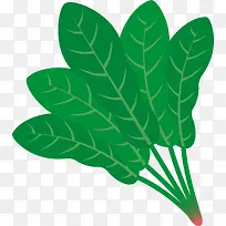 卡通手绘蔬菜装饰海报设计菠菜-空若网 卡通手绘蔬菜装饰海报设计菠菜-空若网