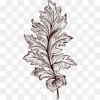 手绘菠菜叶子精美-空若网 手绘菠菜叶子精美-空若网