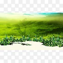 背景-空若网 背景-空若网