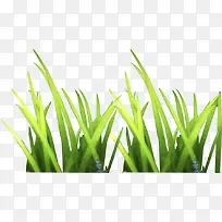 Â̲Ý-¿ÕÈôÍø Â̲Ý-¿ÕÈôÍø