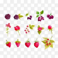 手绘水果葡萄草莓荔枝-空若网 手绘水果葡萄草莓荔枝-空若网