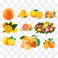 其他各种各样的水果-空若网 其他各种各样的水果-空若网