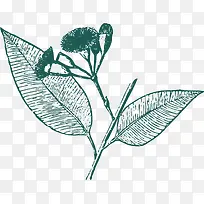 ������ˮ�ʲ�Ҷ-������