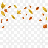 矢量枯黄落叶-空若网 矢量枯黄落叶-空若网