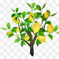 ������-������