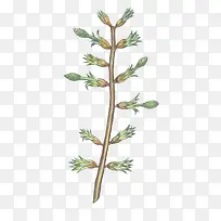 ÊÖ»æÊ÷Ö¦ÄÛÑ¿-¿ÕÈôÍø ÊÖ»æÊ÷Ö¦ÄÛÑ¿-¿ÕÈôÍø