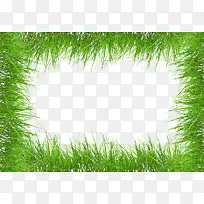 小草边框素材-空若网 小草边框素材-空若网
