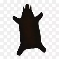 动物鼻毛食肉公猪-空若网 动物鼻毛食肉公猪-空若网