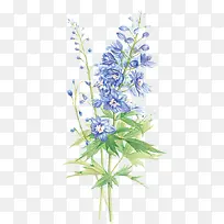 �ֻ�����-������