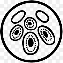 ��֢������ҽ���߰�֢��־-������