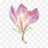 粉色花瓣-空若网 粉色花瓣-空若网